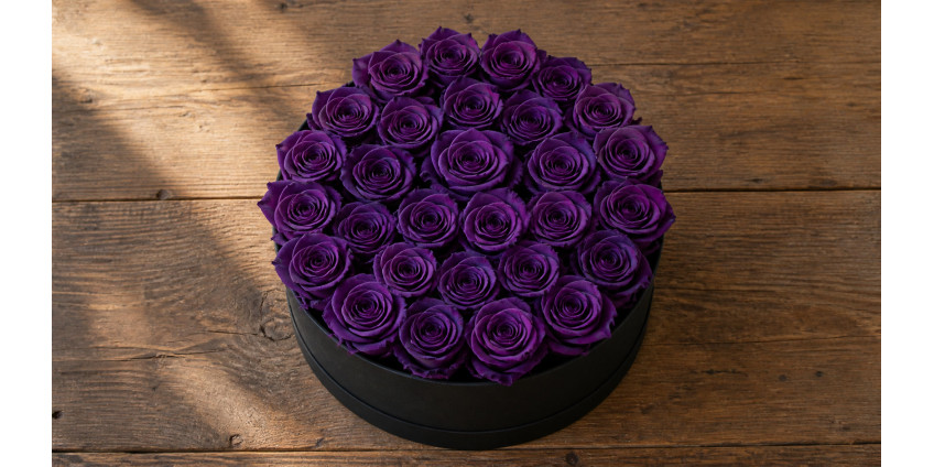 Роза Deep Purple: фиолетовый сорт и букеты