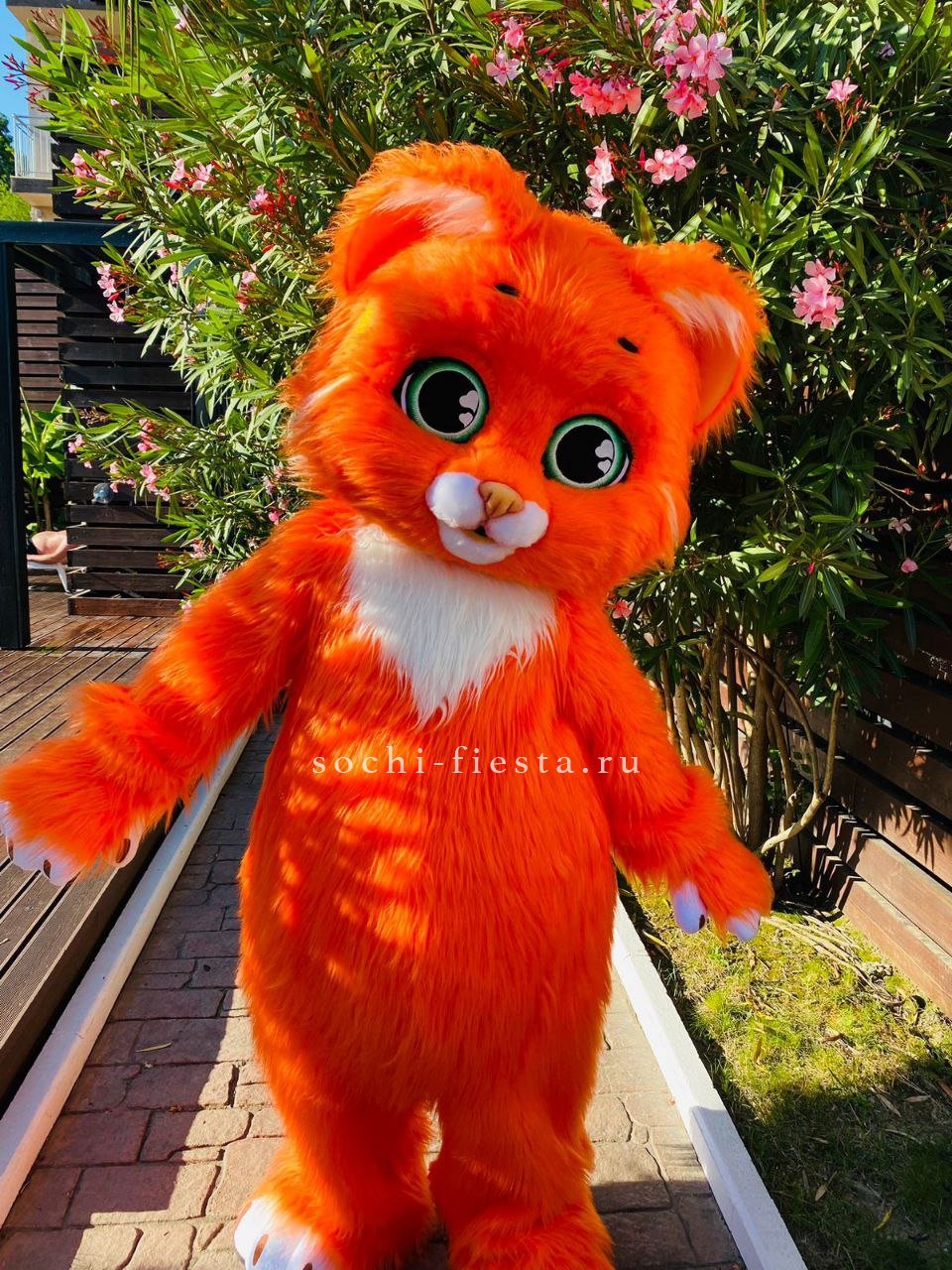 Аниматор Котик в Москве