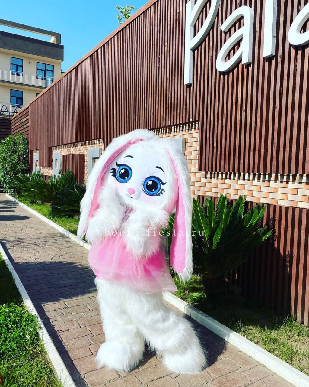 Аниматор Зайка в Москве