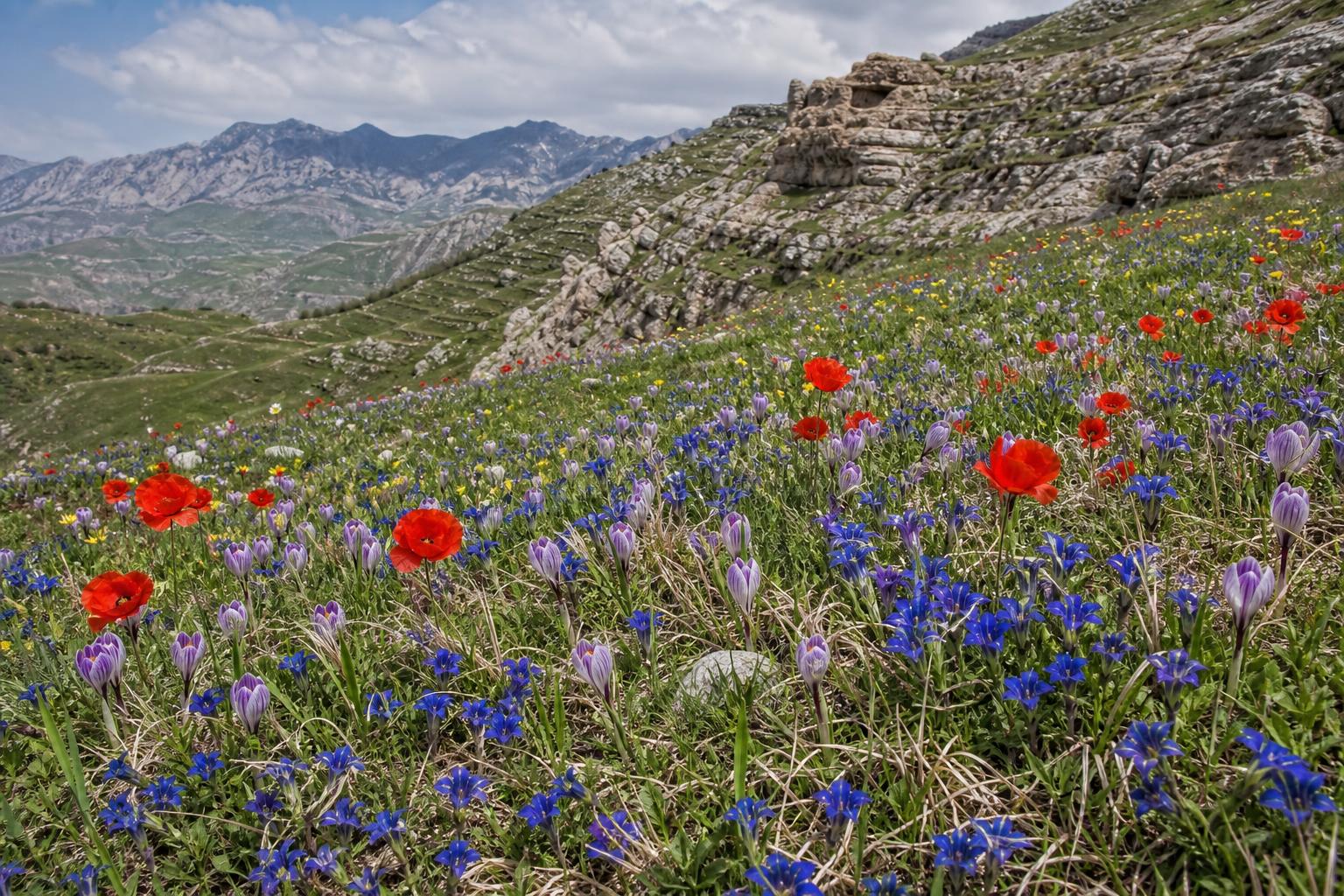 Gornyy lug dagestan