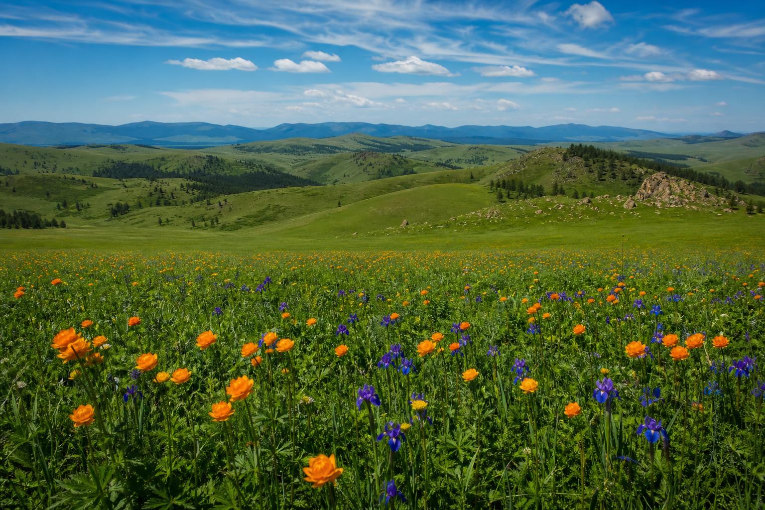 Buryatia steppe summer