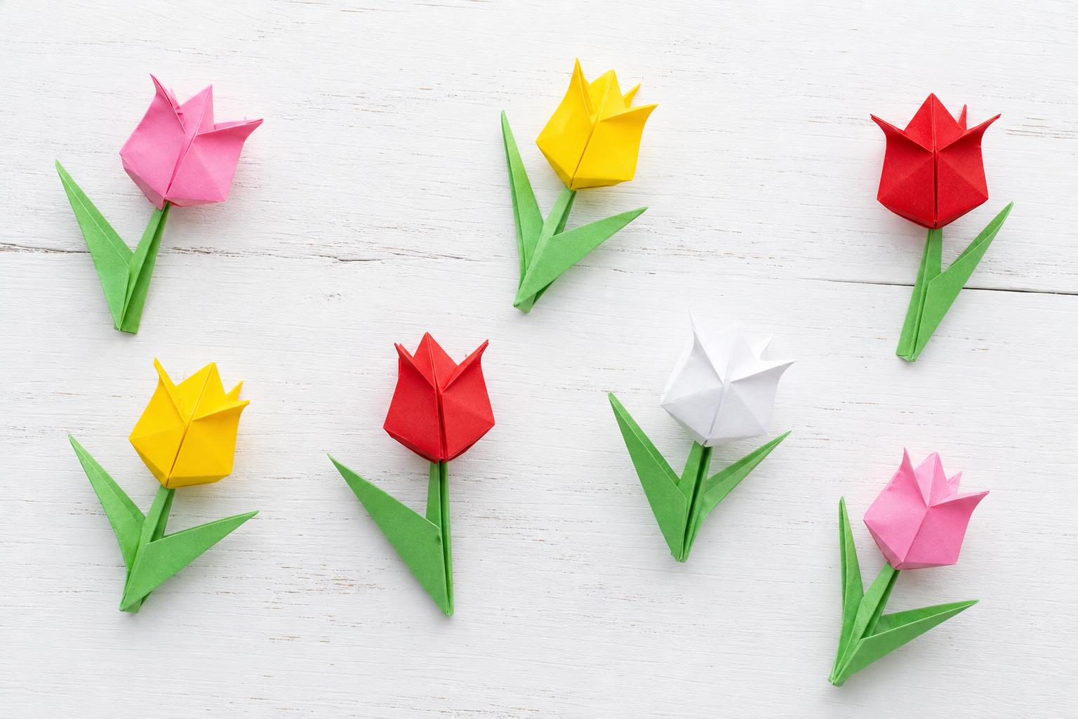 Origami tyulpany raznye tsveta