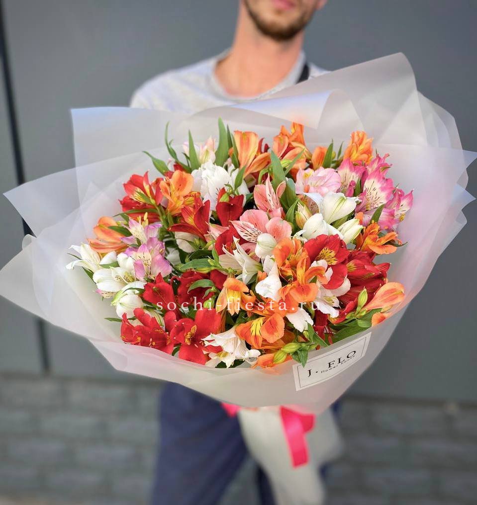 Rainbow XL в Москве