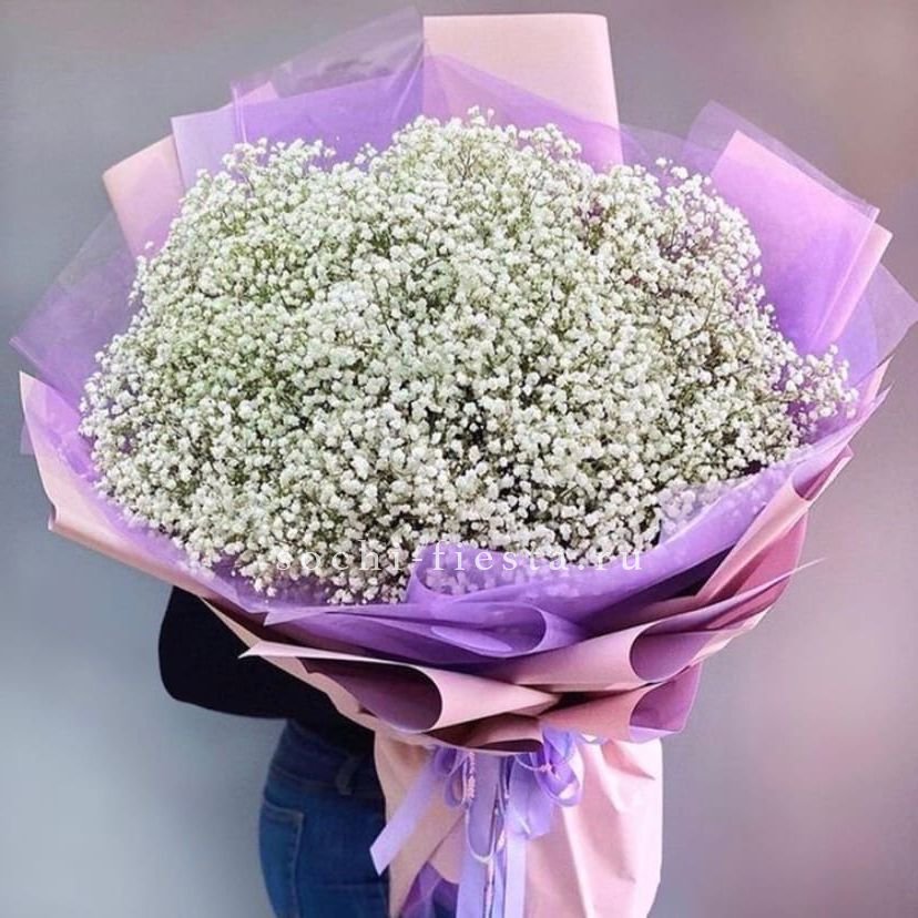 Облако белых гипсофил в Москве
