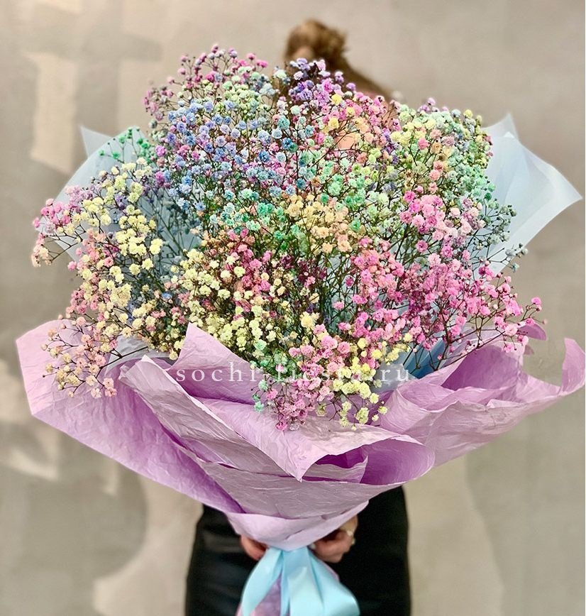 Радужные гипсофилы M в Москве