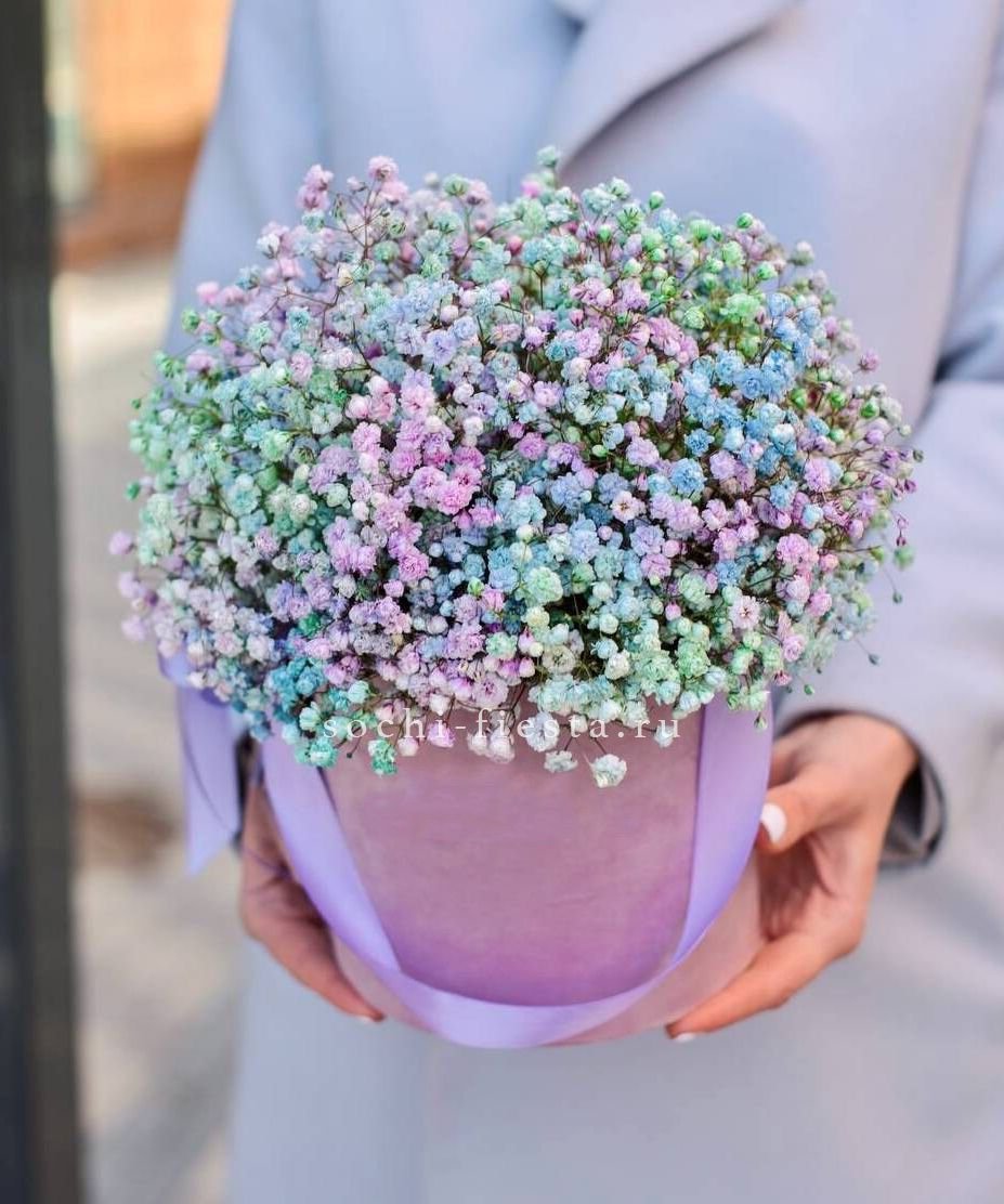 Гипсофилы в шляпной коробке "Candyland" в Москве