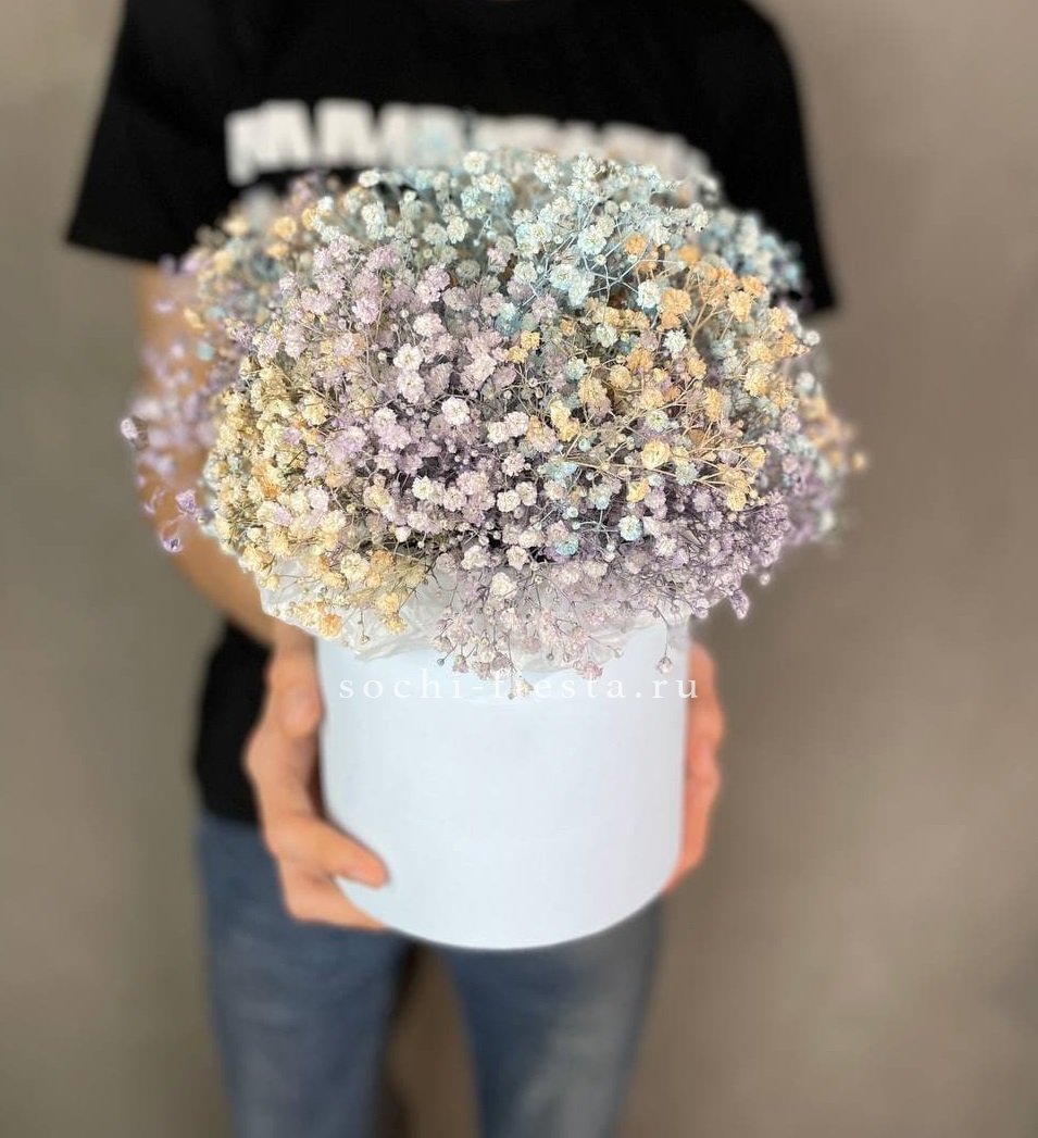 9 Радужных гипсофил в шляпной коробке в Москве