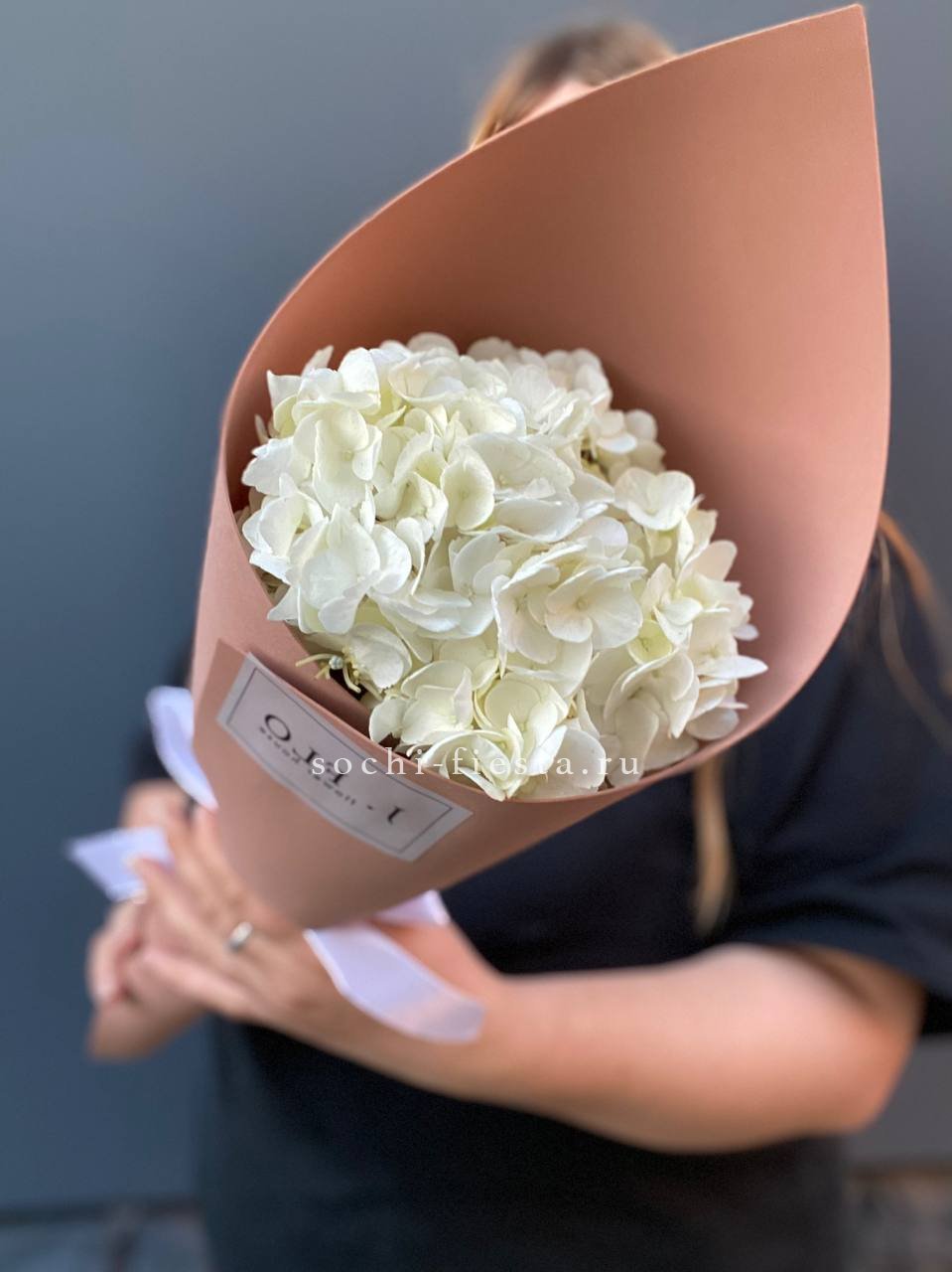 Гортензия Snow в Москве