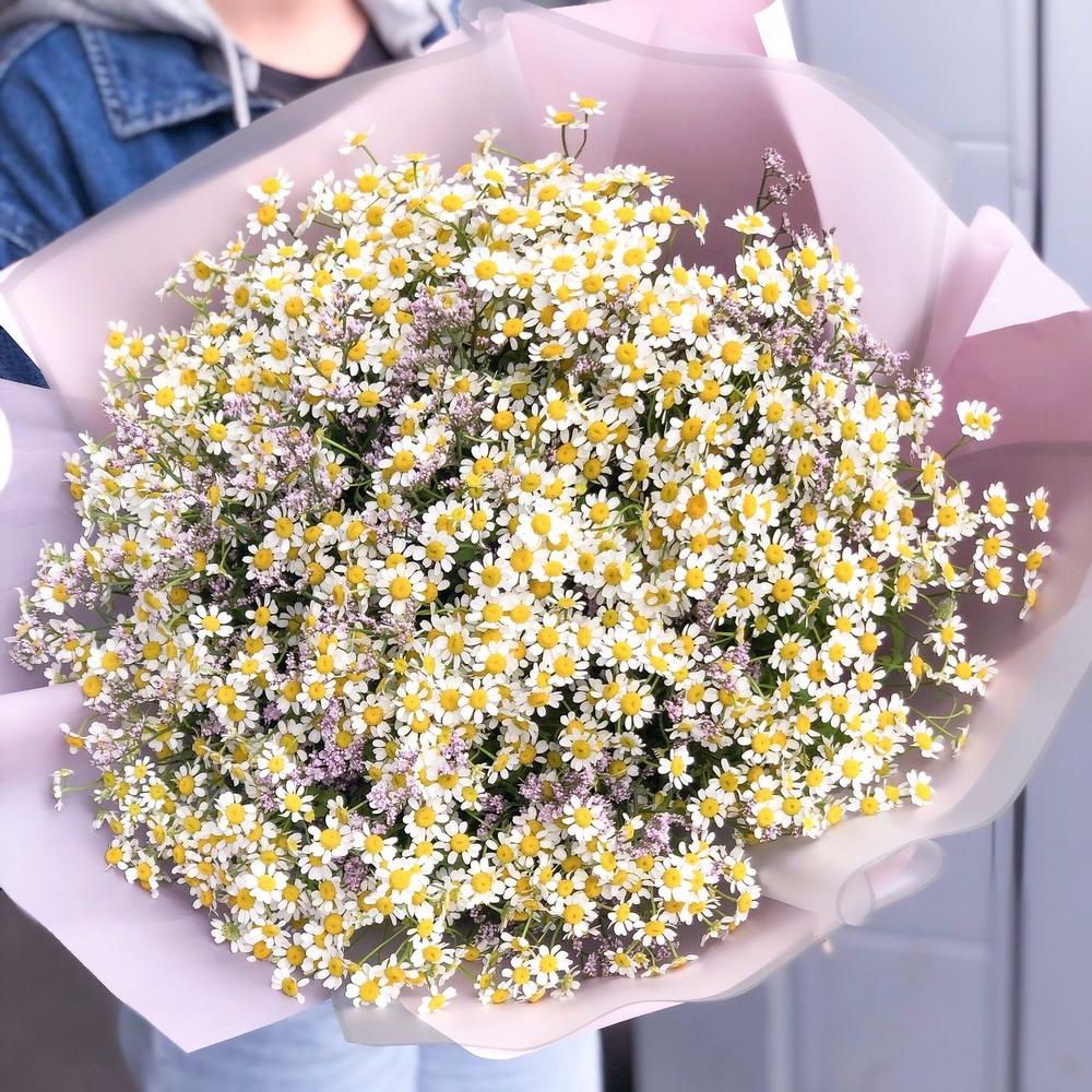 Букет ромашек L в Москве