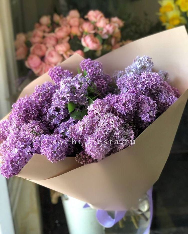 Букет сирени №2 в Москве