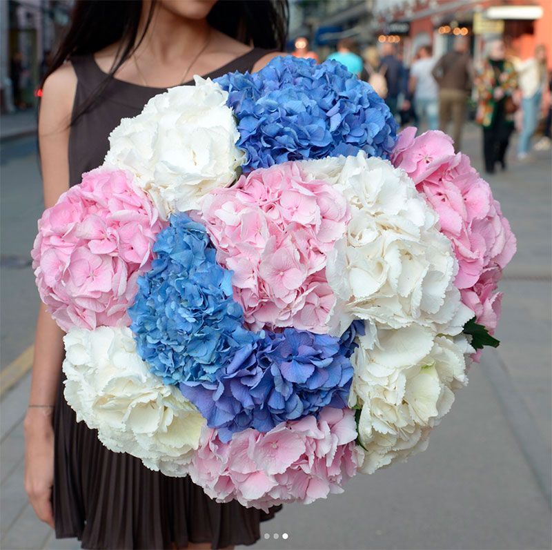 Букет гортензий "Инь-Янь" в Москве