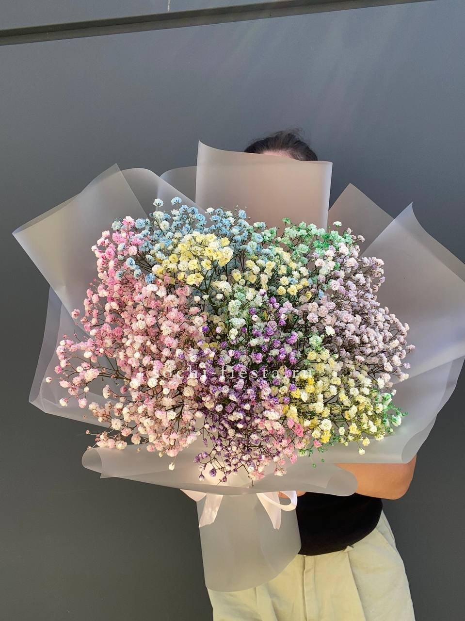 Радужные гипсофилы L в Москве