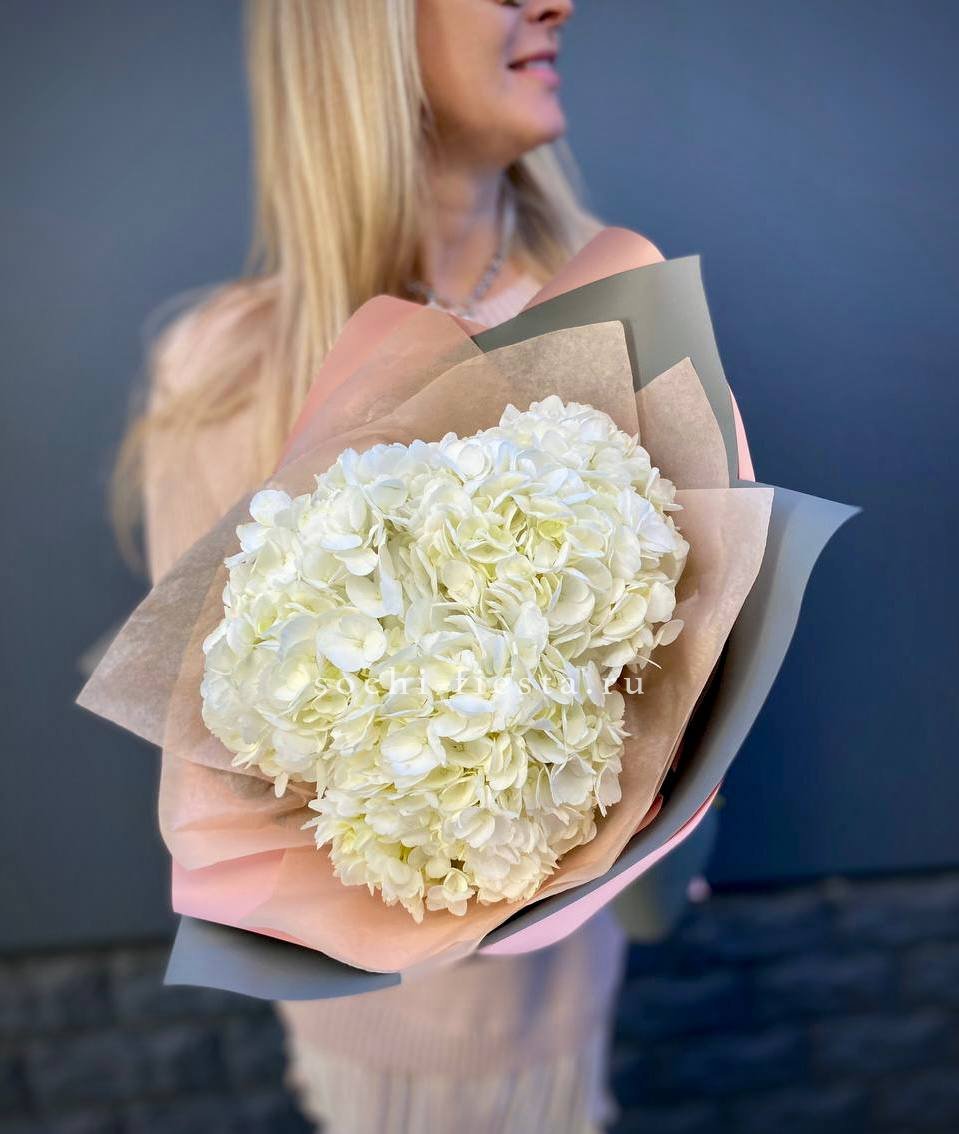 Гортензия Snow 3x в Москве