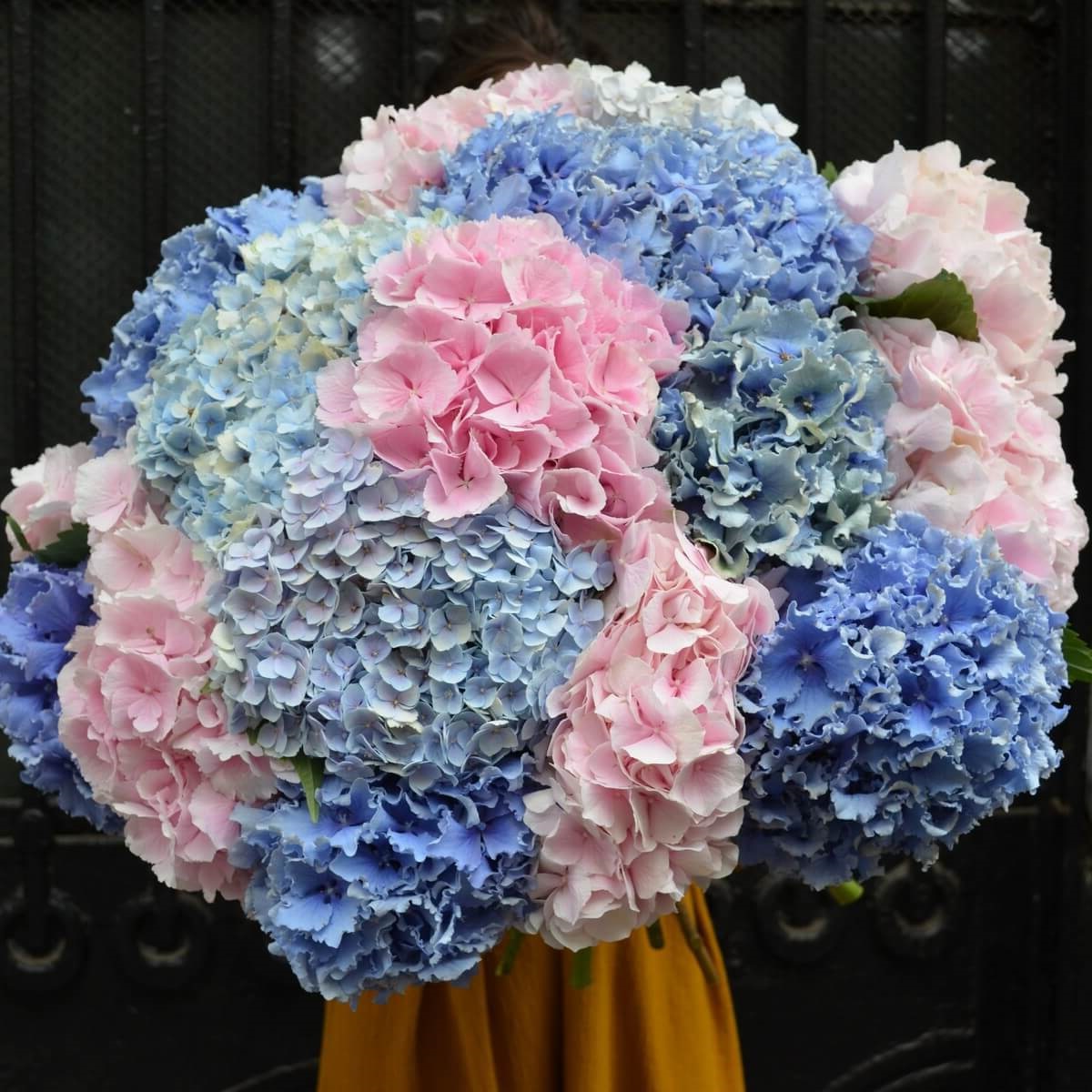 Букет гортензий Fountain в Москве