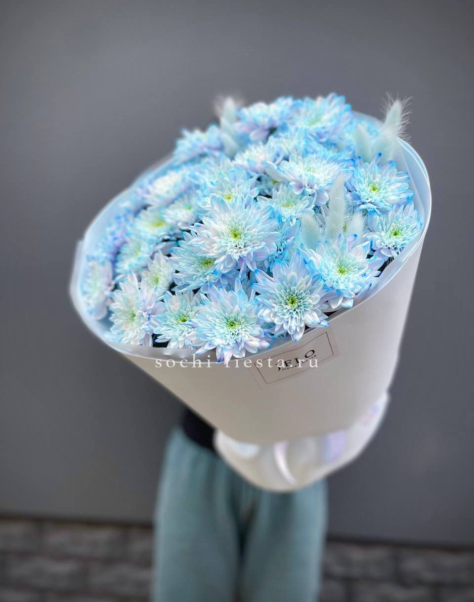 Букет нежно-голубых хризантем  в Москве