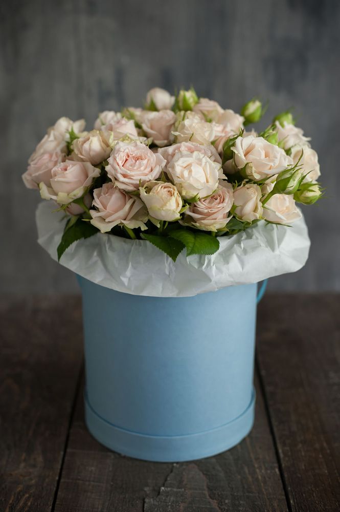 Flowerbox Sky в Москве