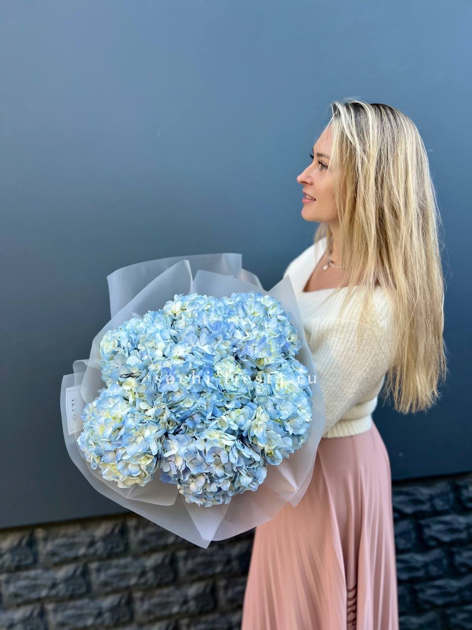 7 голубых гортензий в Москве
