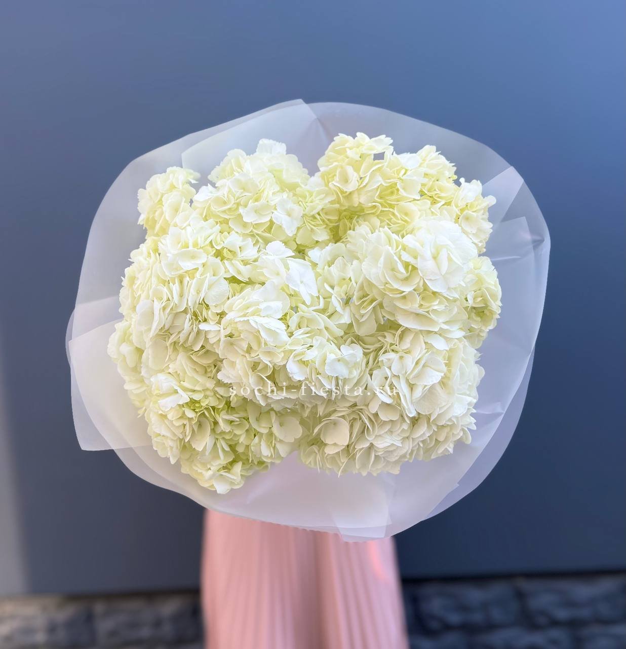 7 белых гортензий в Москве