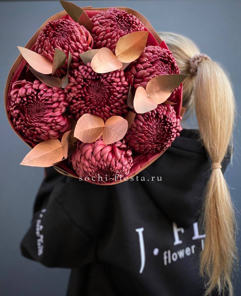 Хризантемы Gold Chocolate в Москве