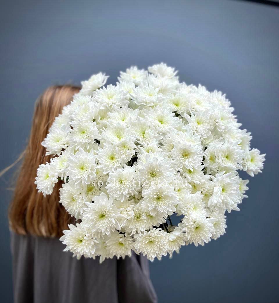 Охапка Хризантемы кустовой в Москве