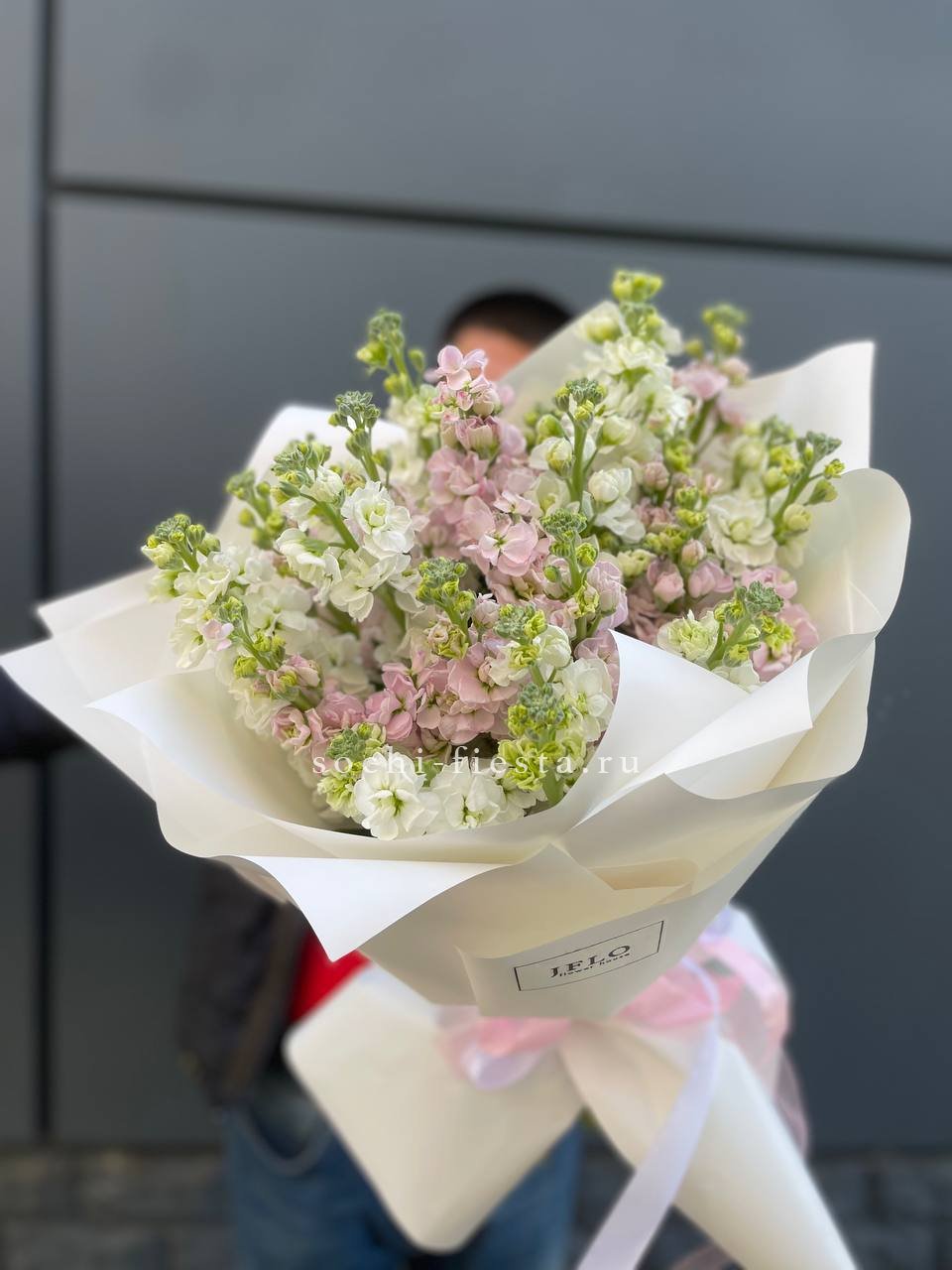 29 маттиол  в Москве