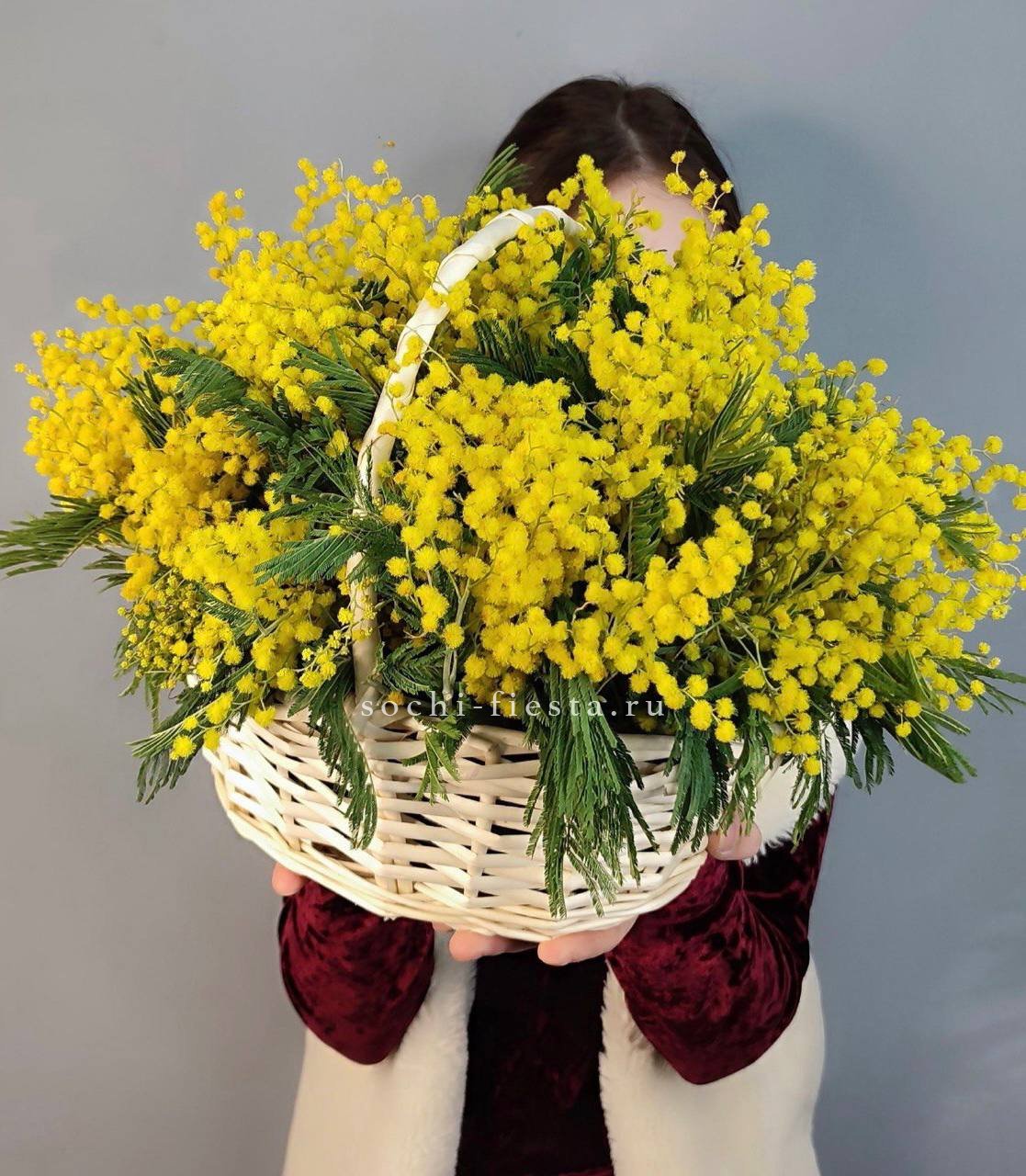 Корзина ароматной мимозы в Москве
