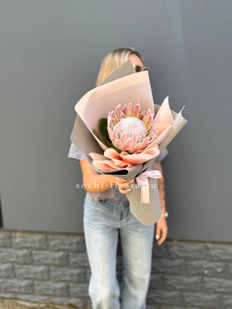 Протея мини  в Москве