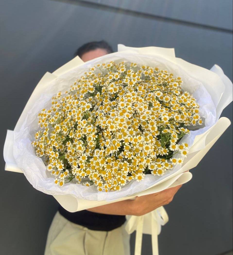Букет ромашек M в Москве