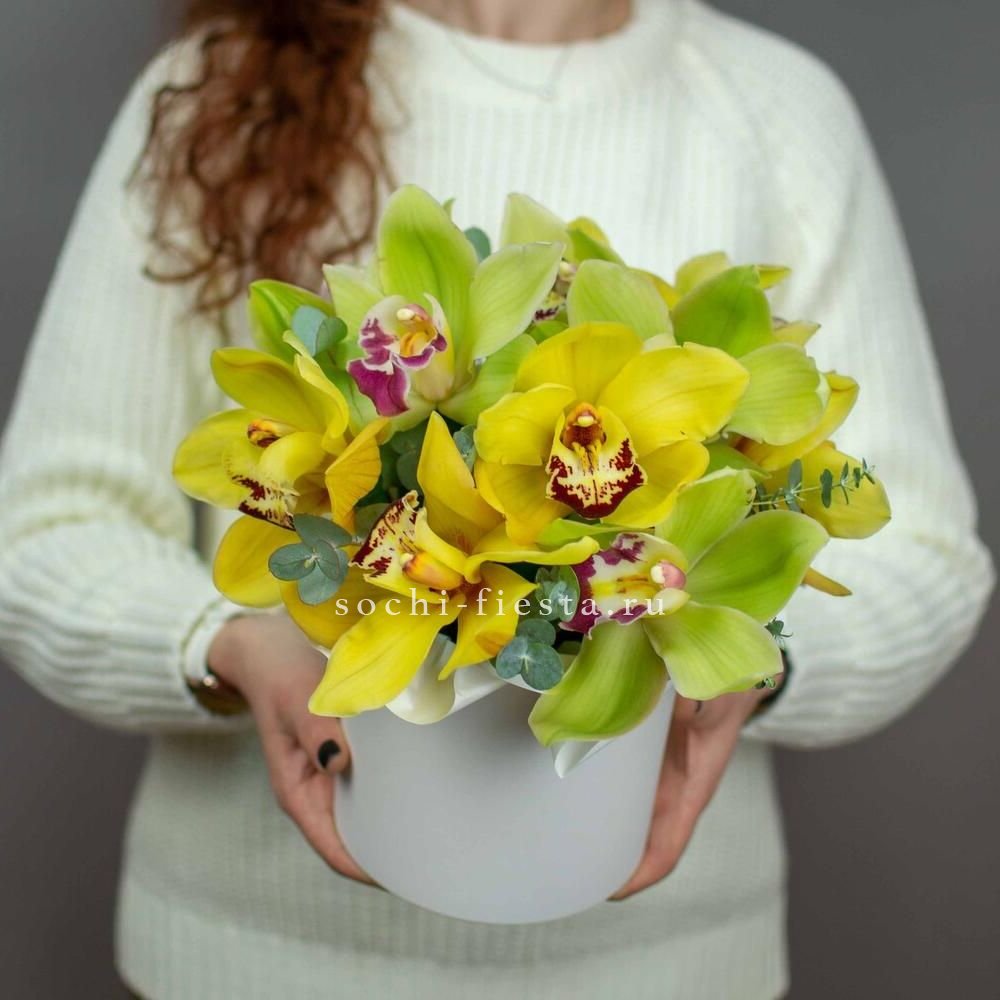 Бокс с орхидей №1 в Москве