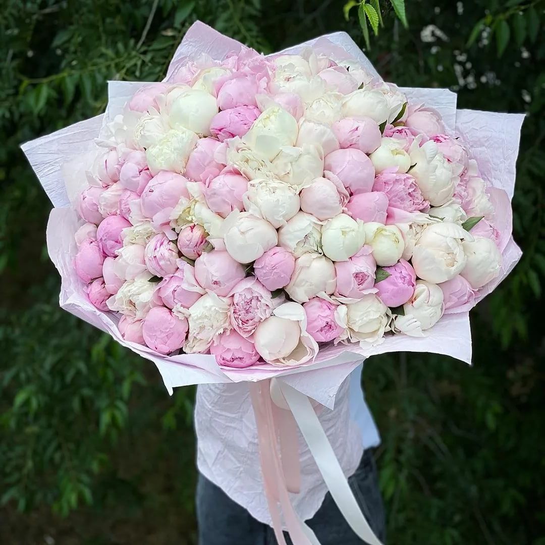 101 пион в Москве