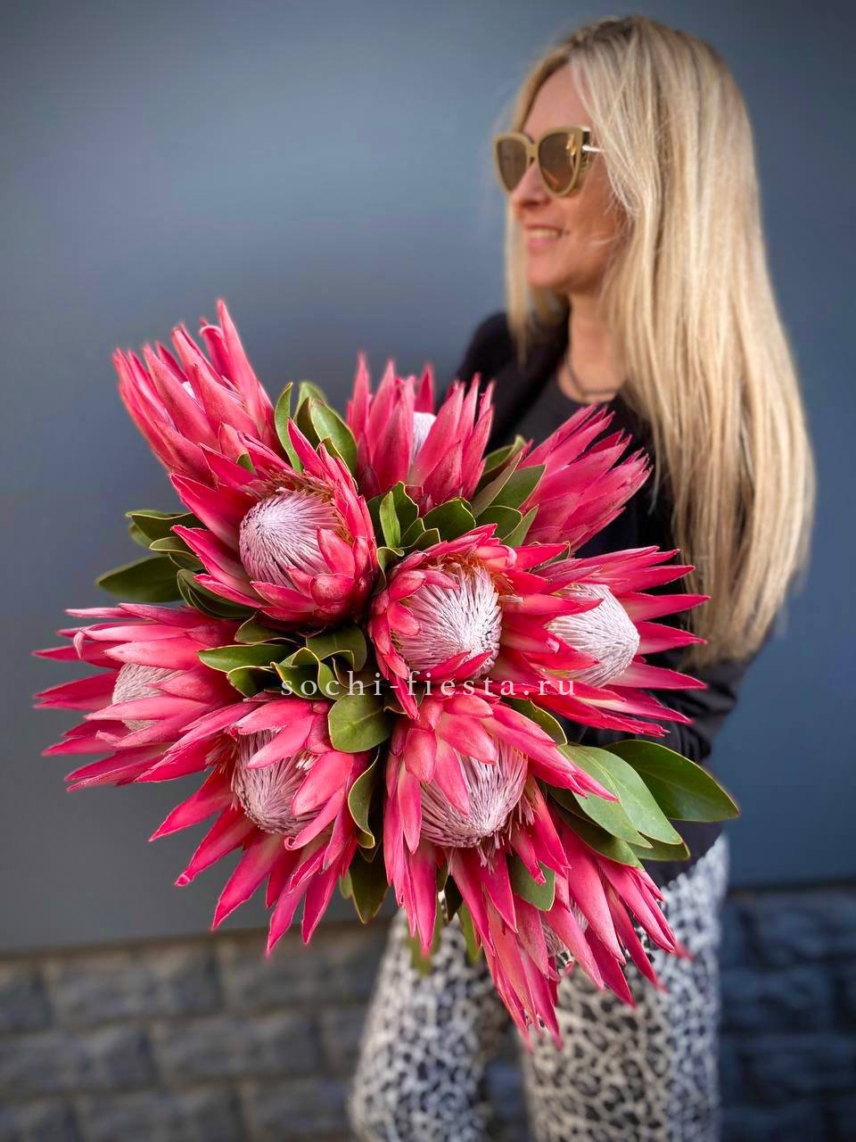 Протея штучно в Москве