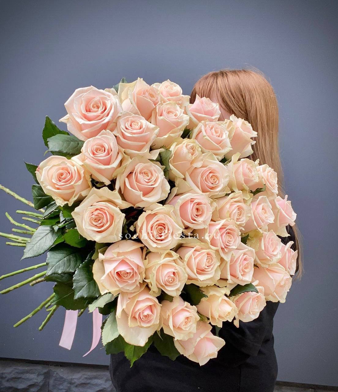 35 кремовых высоких роз в Москве