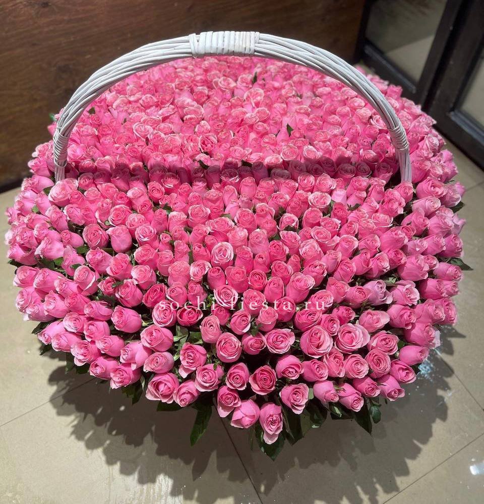 501 розовая роза в Москве