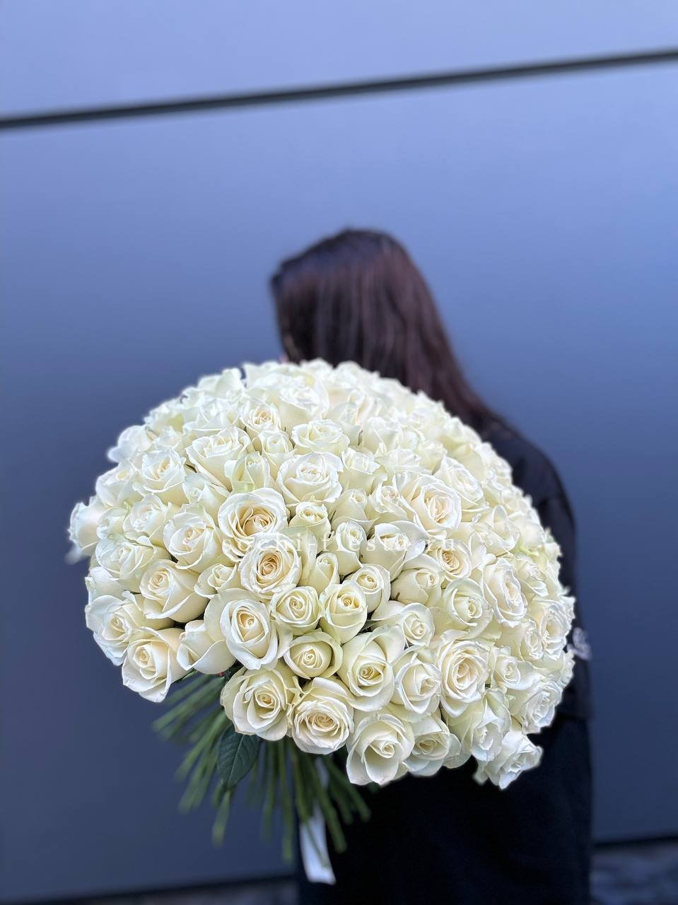 Охапка из 101 белой розы  в Москве
