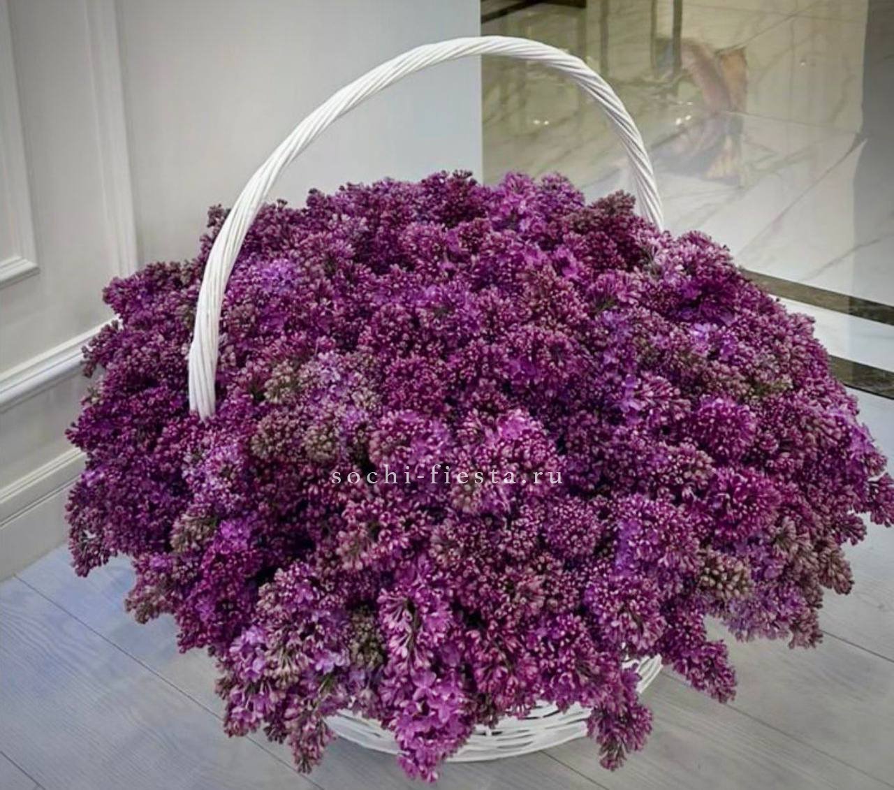 Корзина сирени в Москве