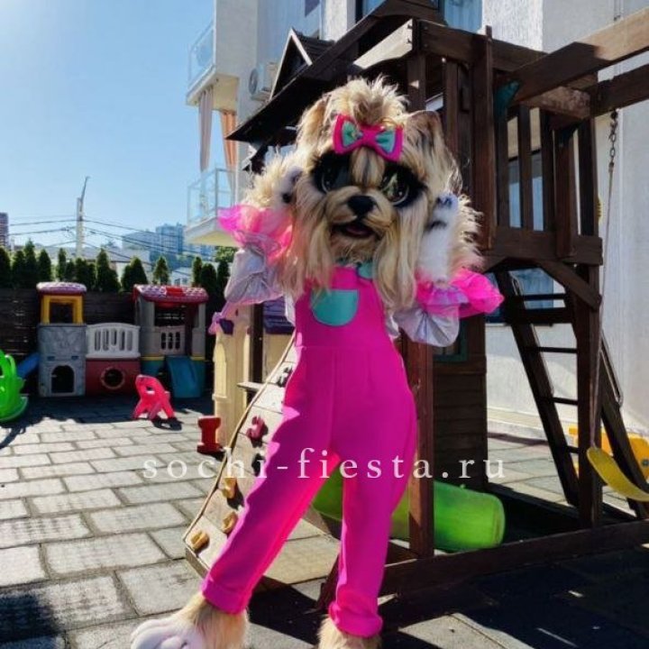 Аниматор Гламурная Собака в Москве