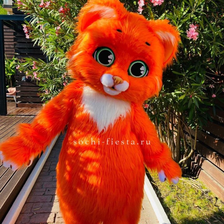 Аниматор Котик в Москве