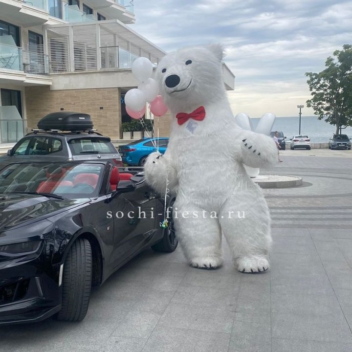 Аниматор Белый Медведь в Москве