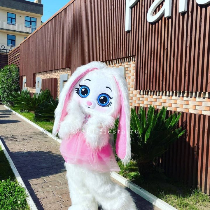 Аниматор Зайка в Москве