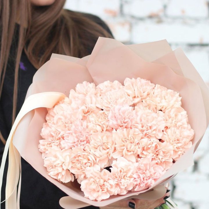 Диантусы №2 в Москве