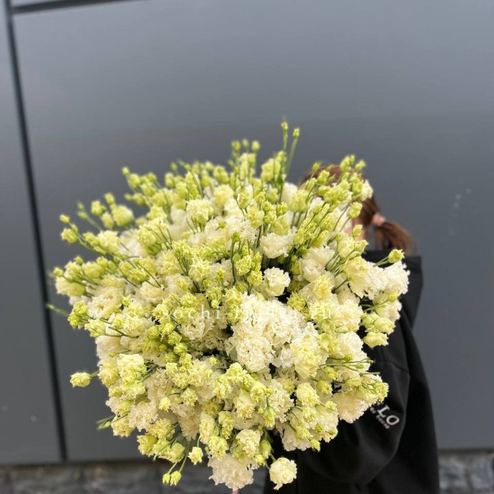 51 белая эустома в Москве