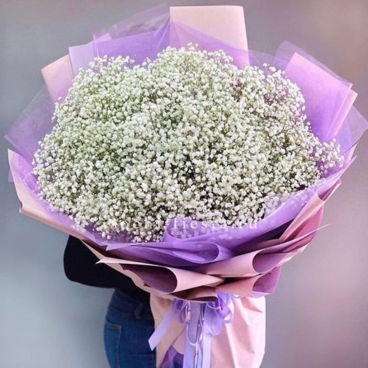 Облако белых гипсофил в Москве