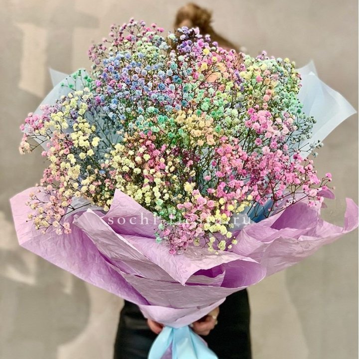 Радужные гипсофилы №2 в Москве