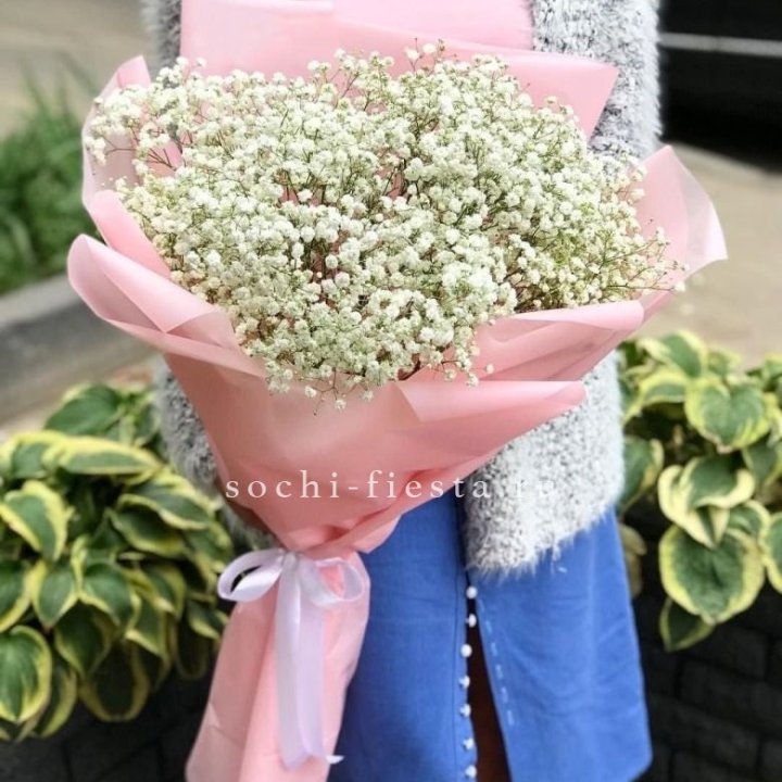 Белоснежные гипсофилы в Москве