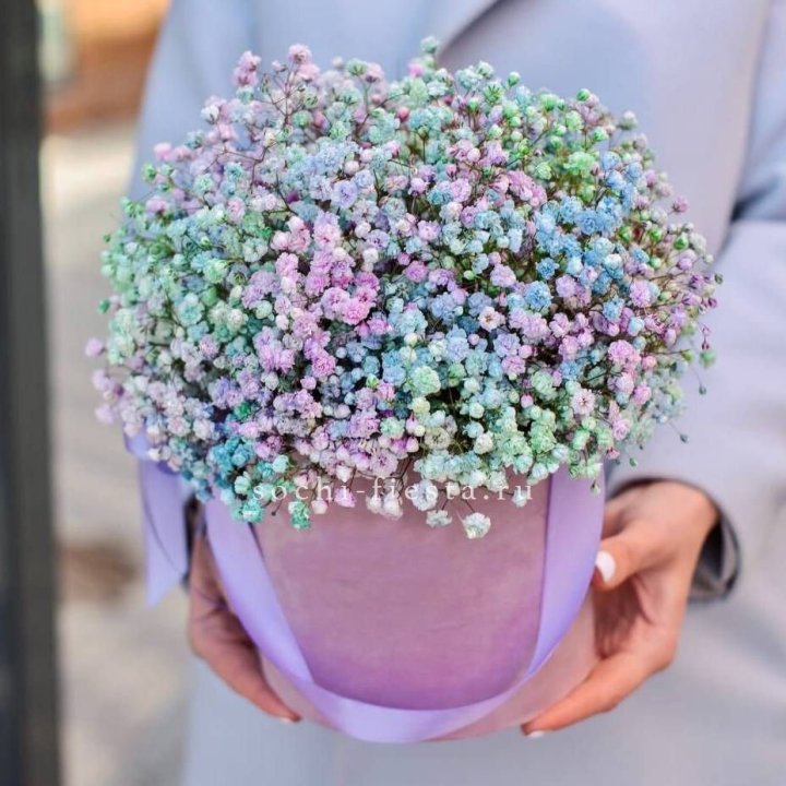 Гипсофилы в шляпной коробке "Кандилайт" в Москве