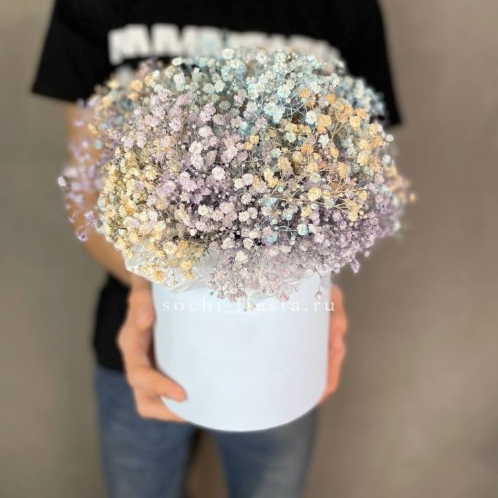 9 Радужных гипсофил в шляпной коробке в Москве