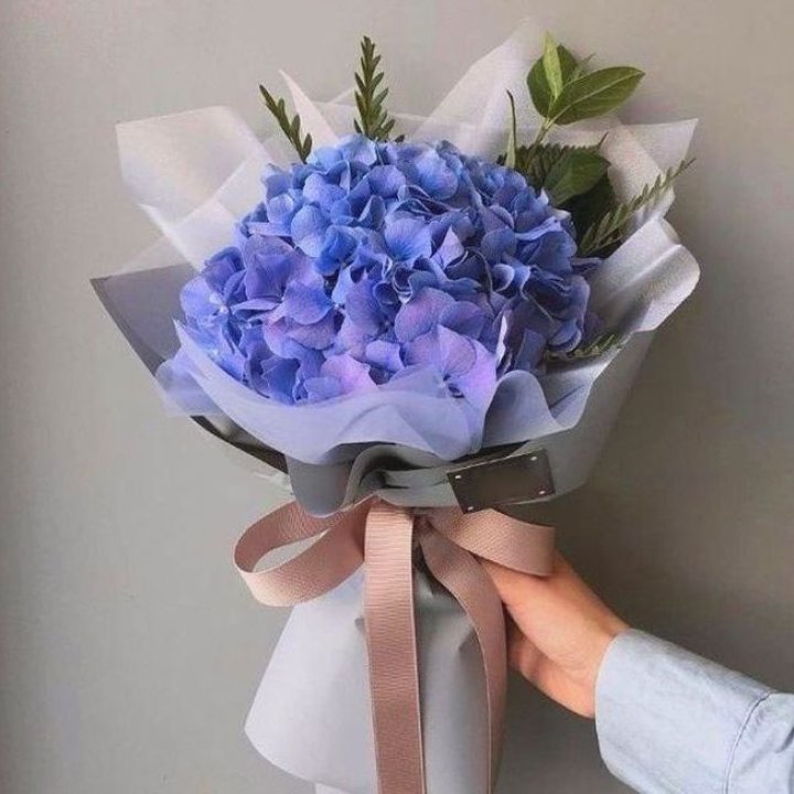 Гортензия голубая в Москве