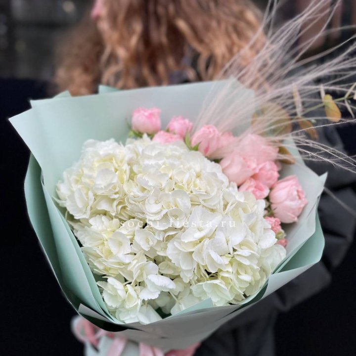 Гортензия "Жасмин" в Москве