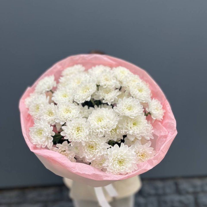  5 хризантем  с доставкой в Москве