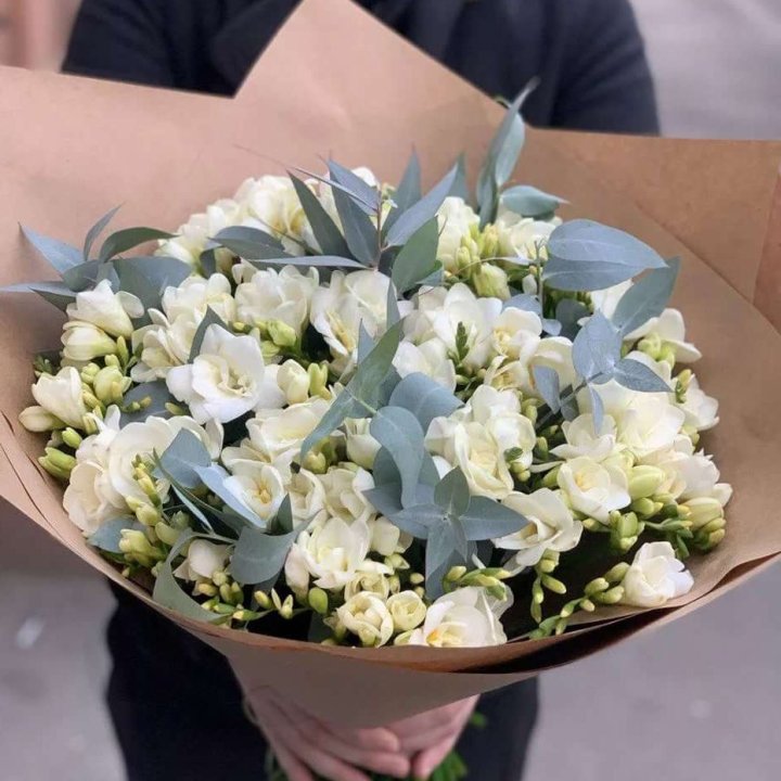 51 фрезия с эвкалиптом в Москве